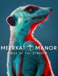 Meerkat Manor Rise of the Dynasty S01E01
